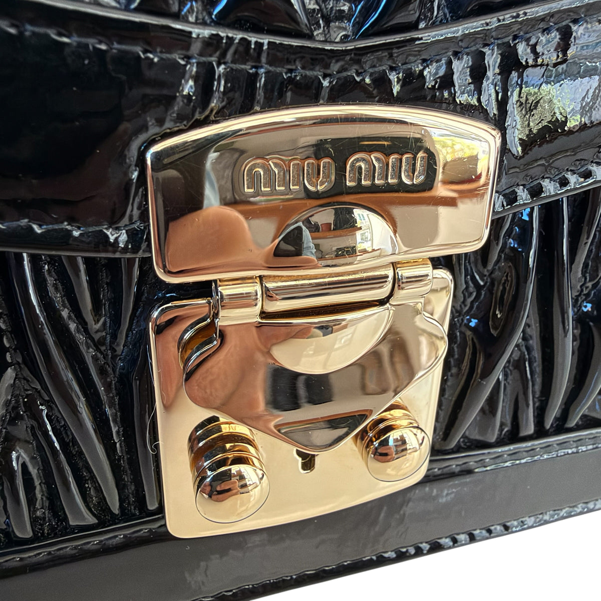 Miu Miu borsa Confidential