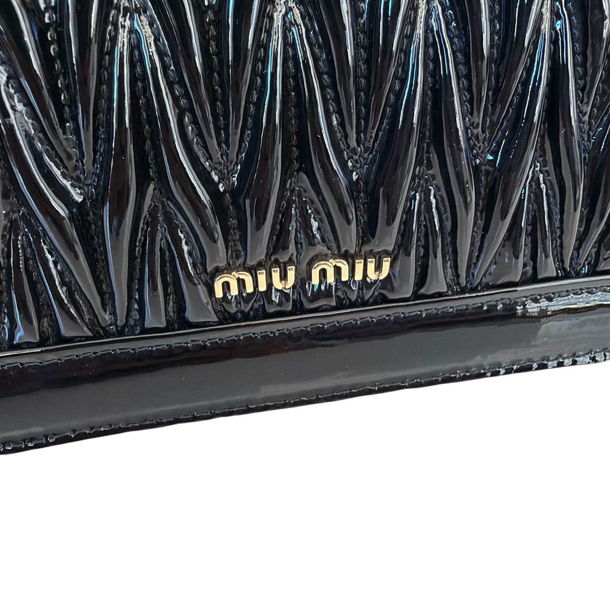 Miu Miu borsa Confidential