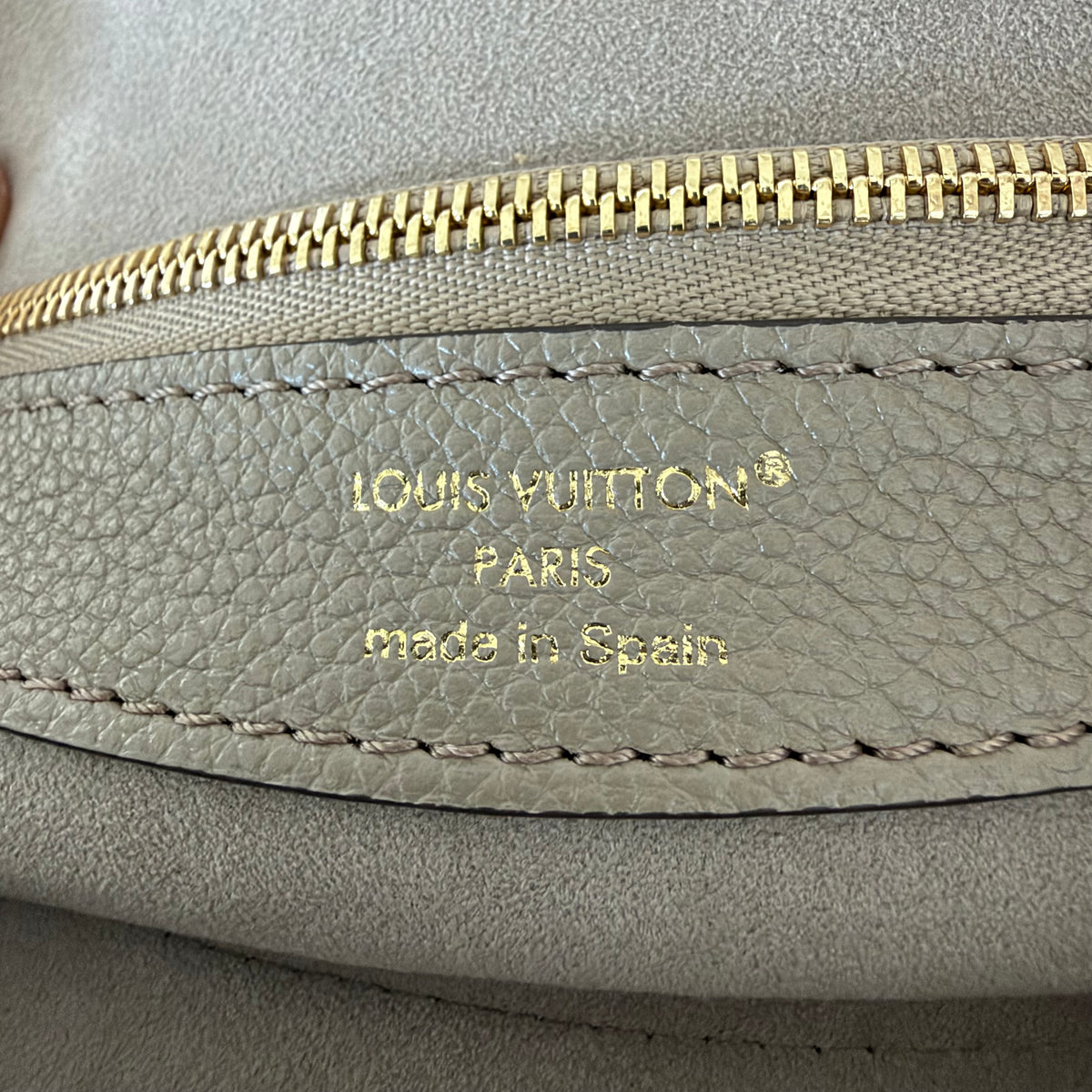 Louis Vuitton borsa Diane