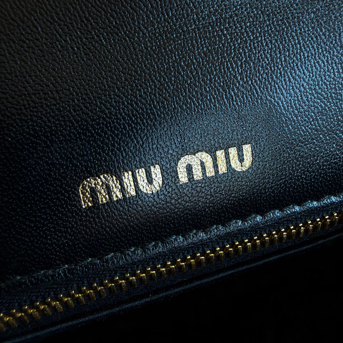 Miu Miu borsa Confidential