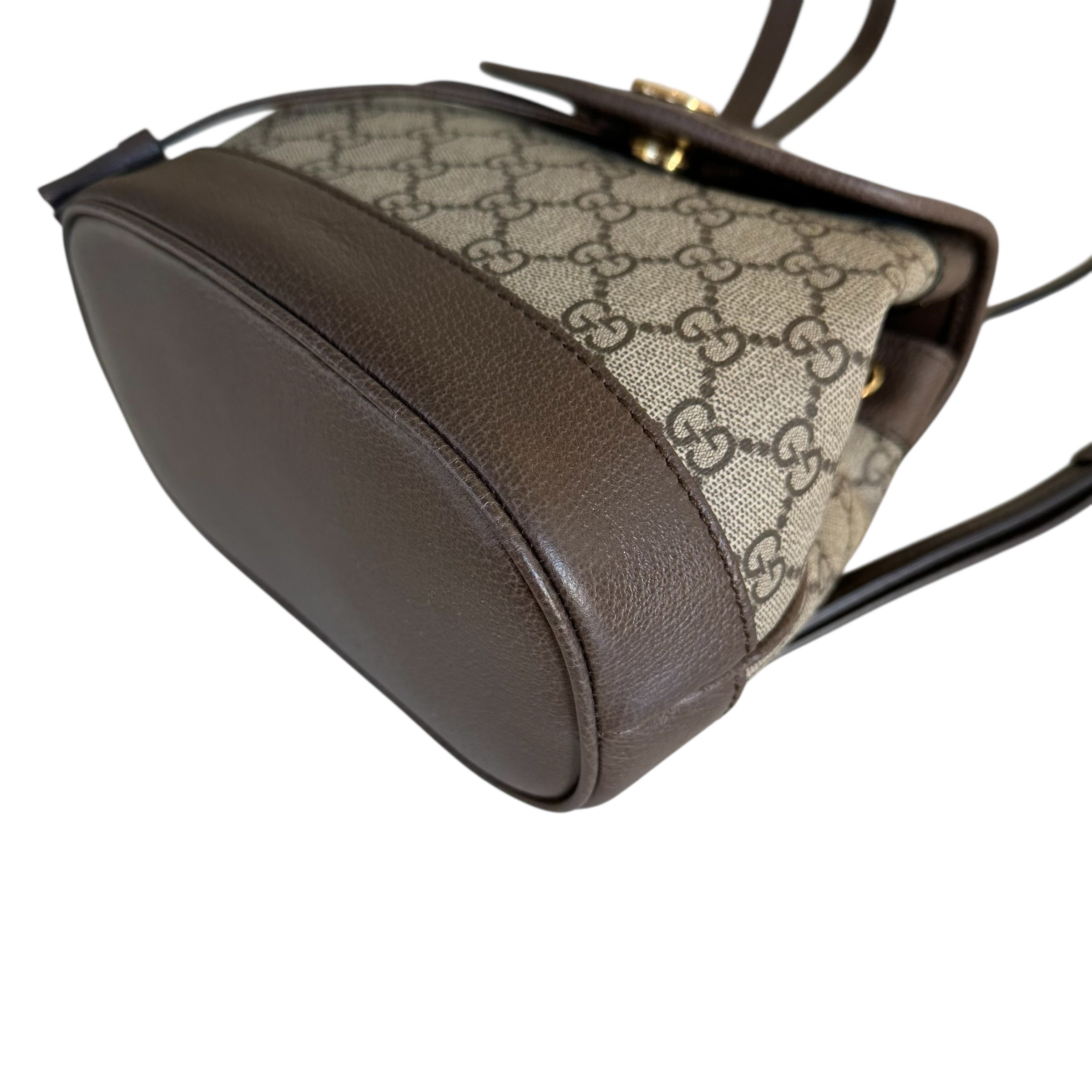 Gucci zaino Ophidia