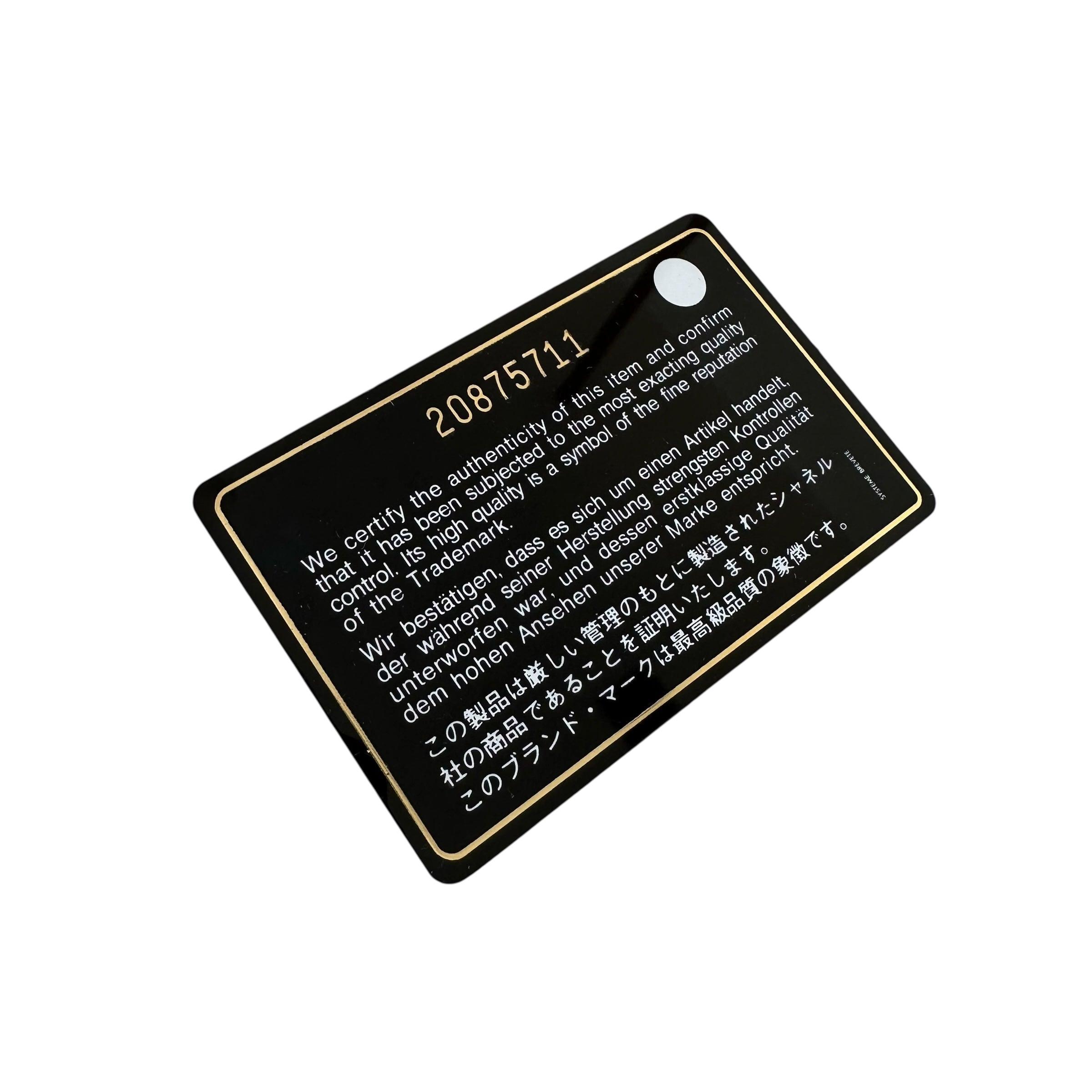 Chanel mini Coco Boy camera case