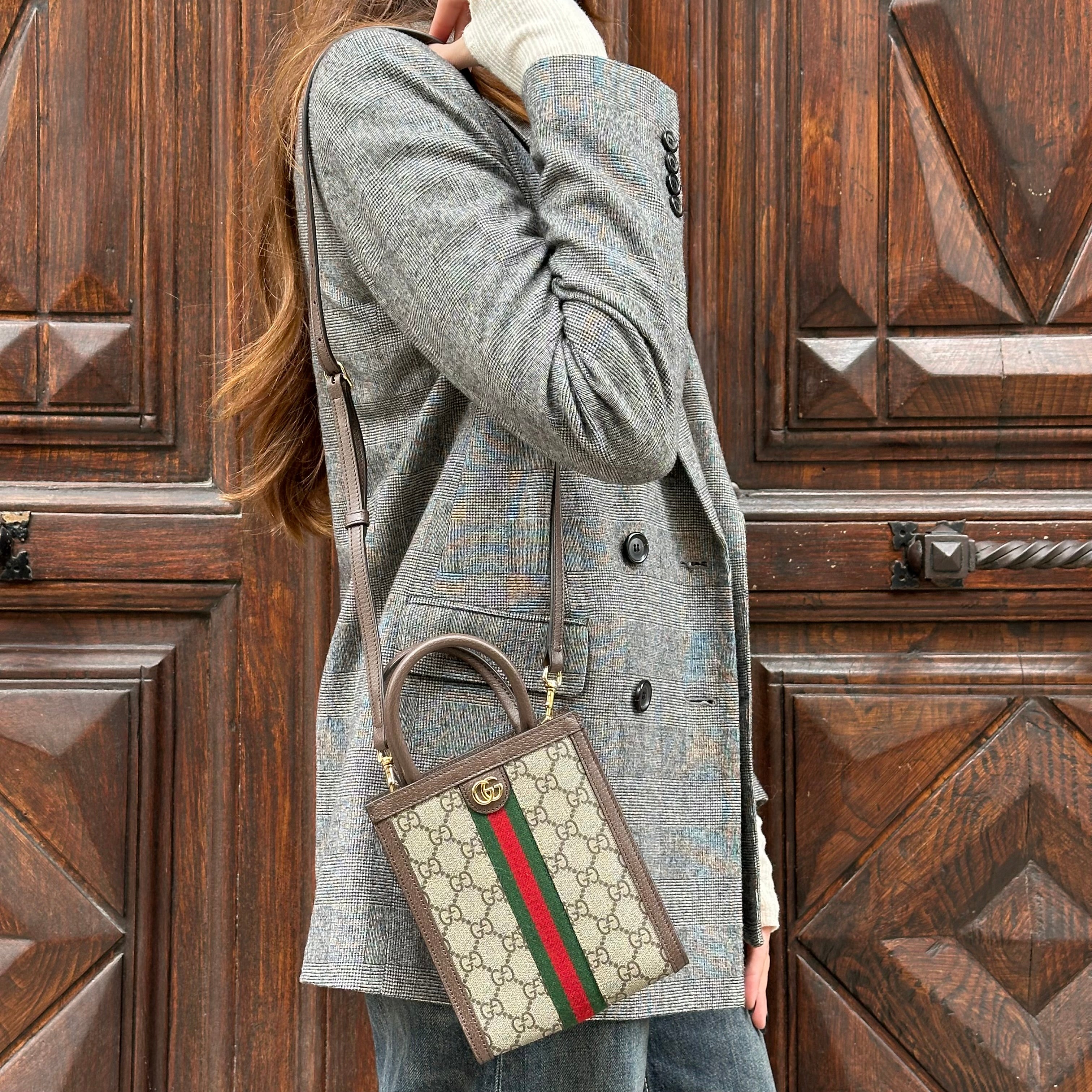 Gucci mini borsa Ophidia