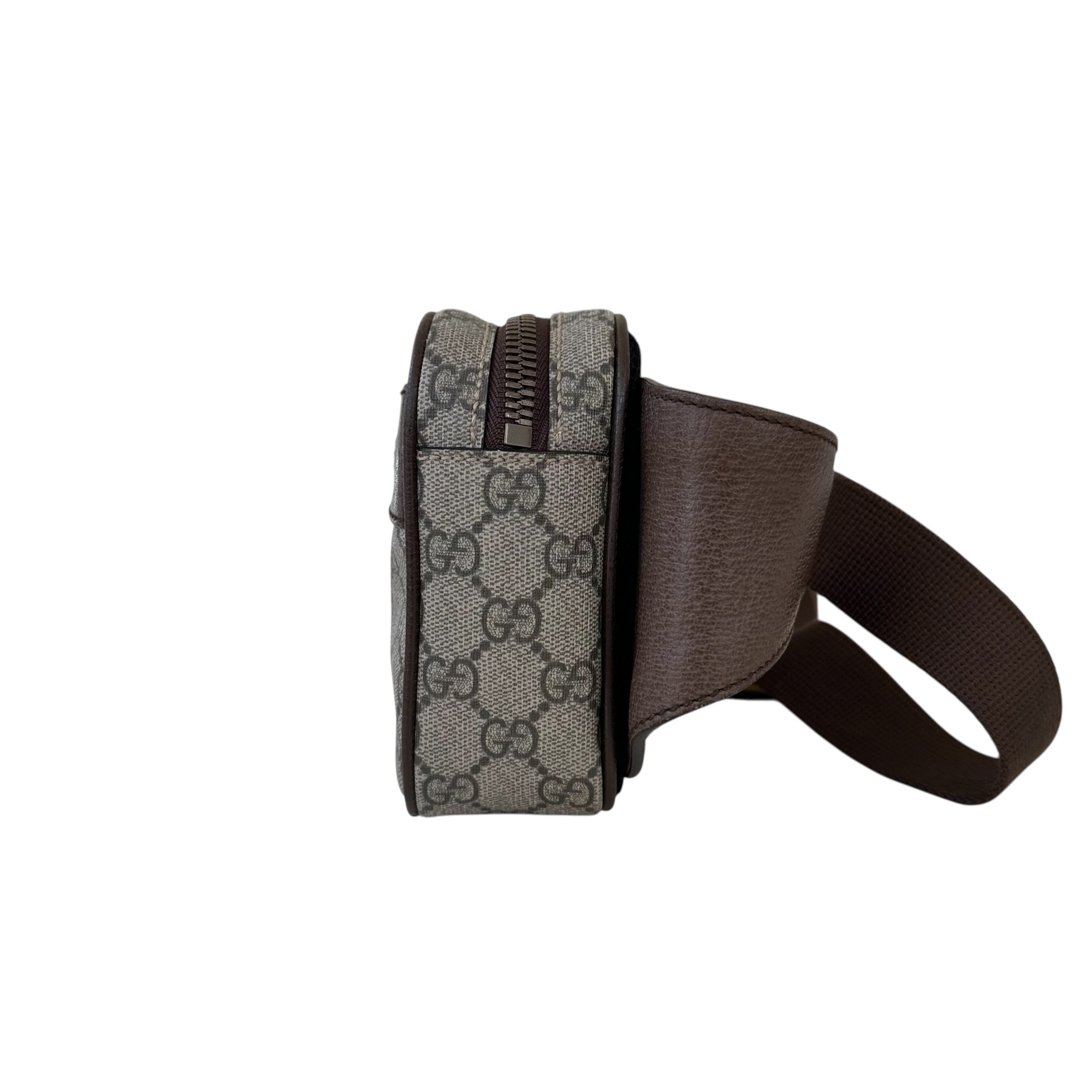 Gucci marsupio Ophidia