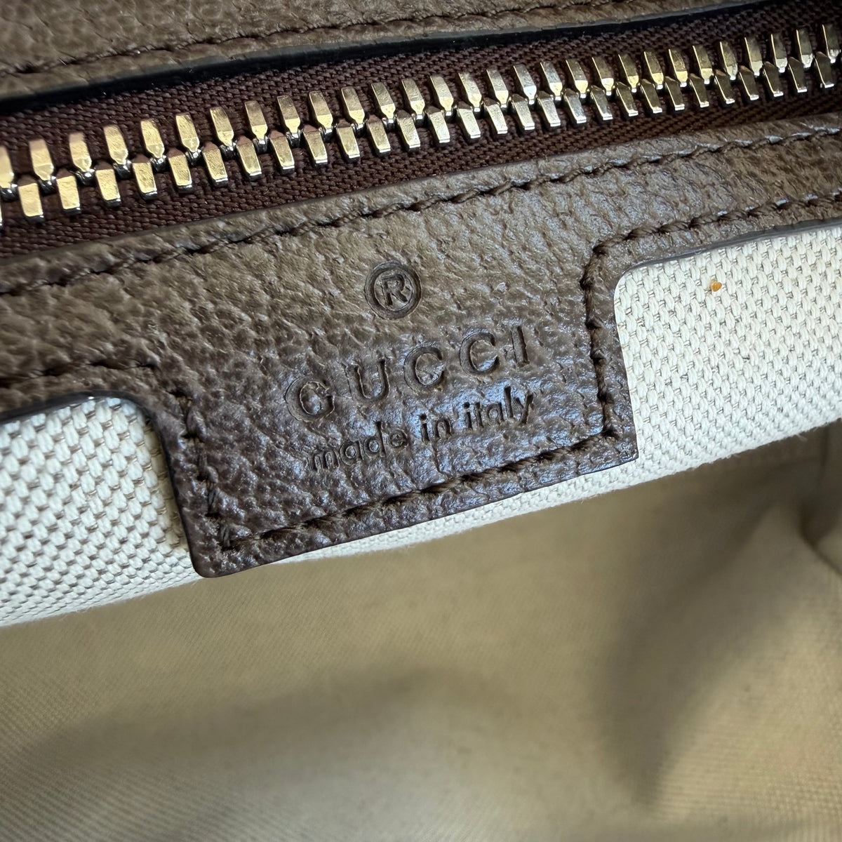 Gucci bauletto Ophidia