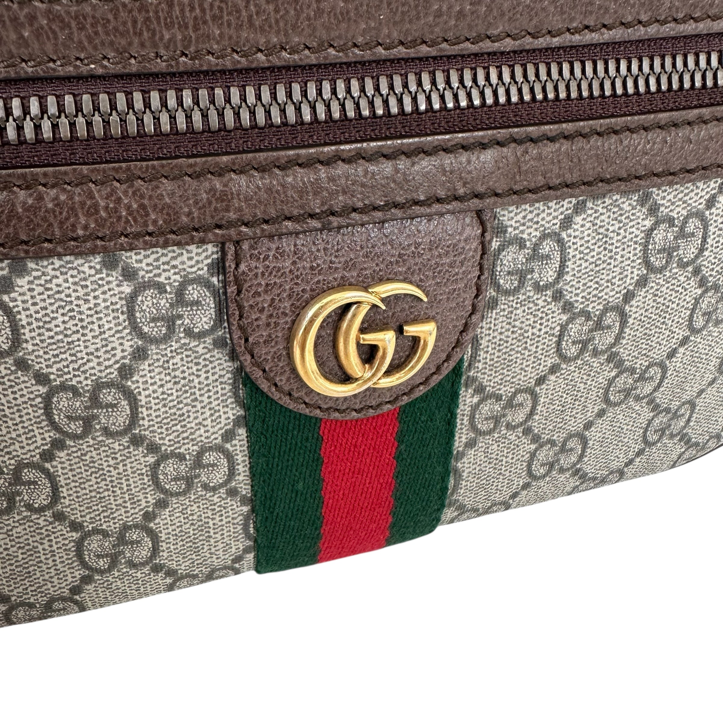 Gucci marsupio Ophidia
