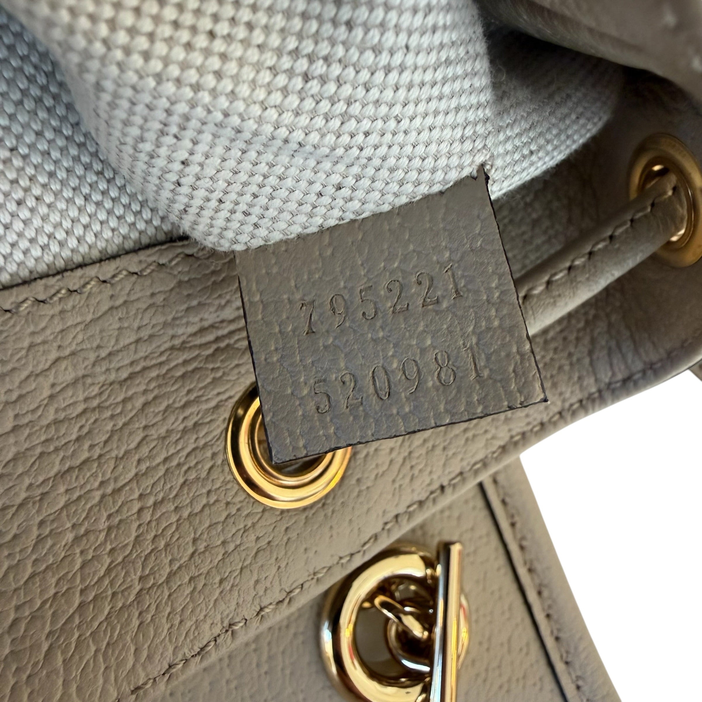 Gucci zaino Ophidia