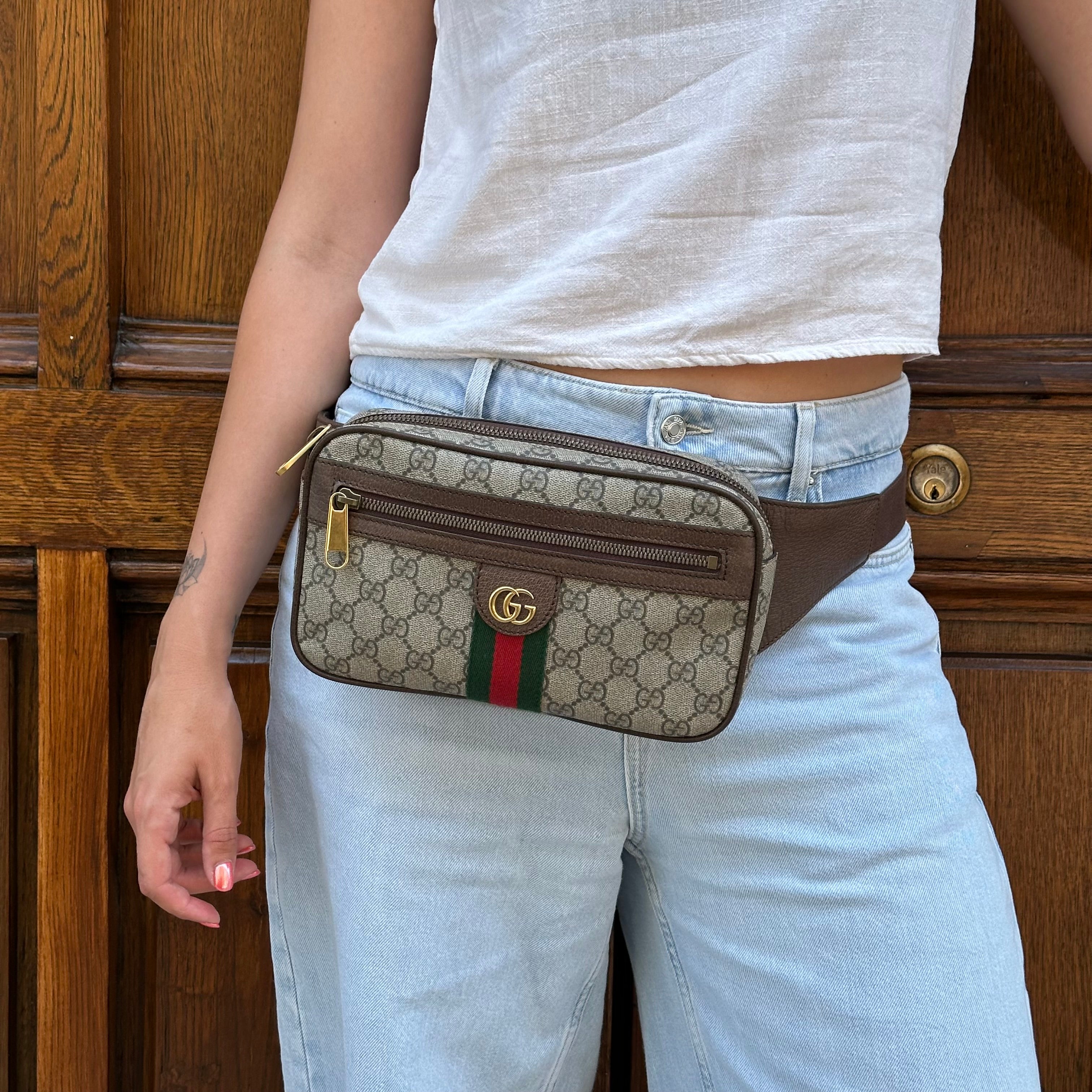 Gucci marsupio Ophidia