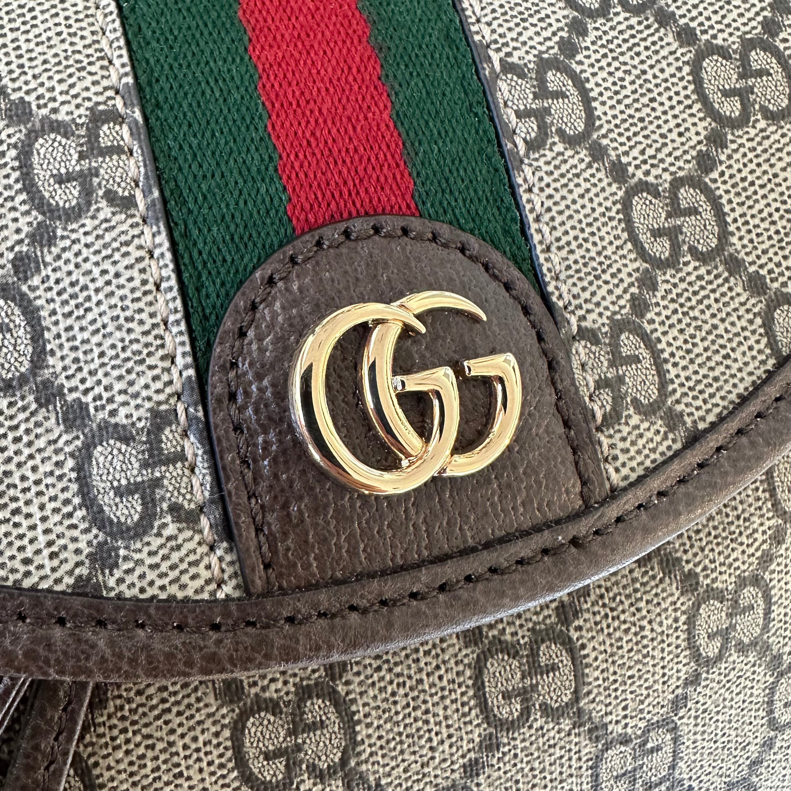 Gucci zaino Ophidia