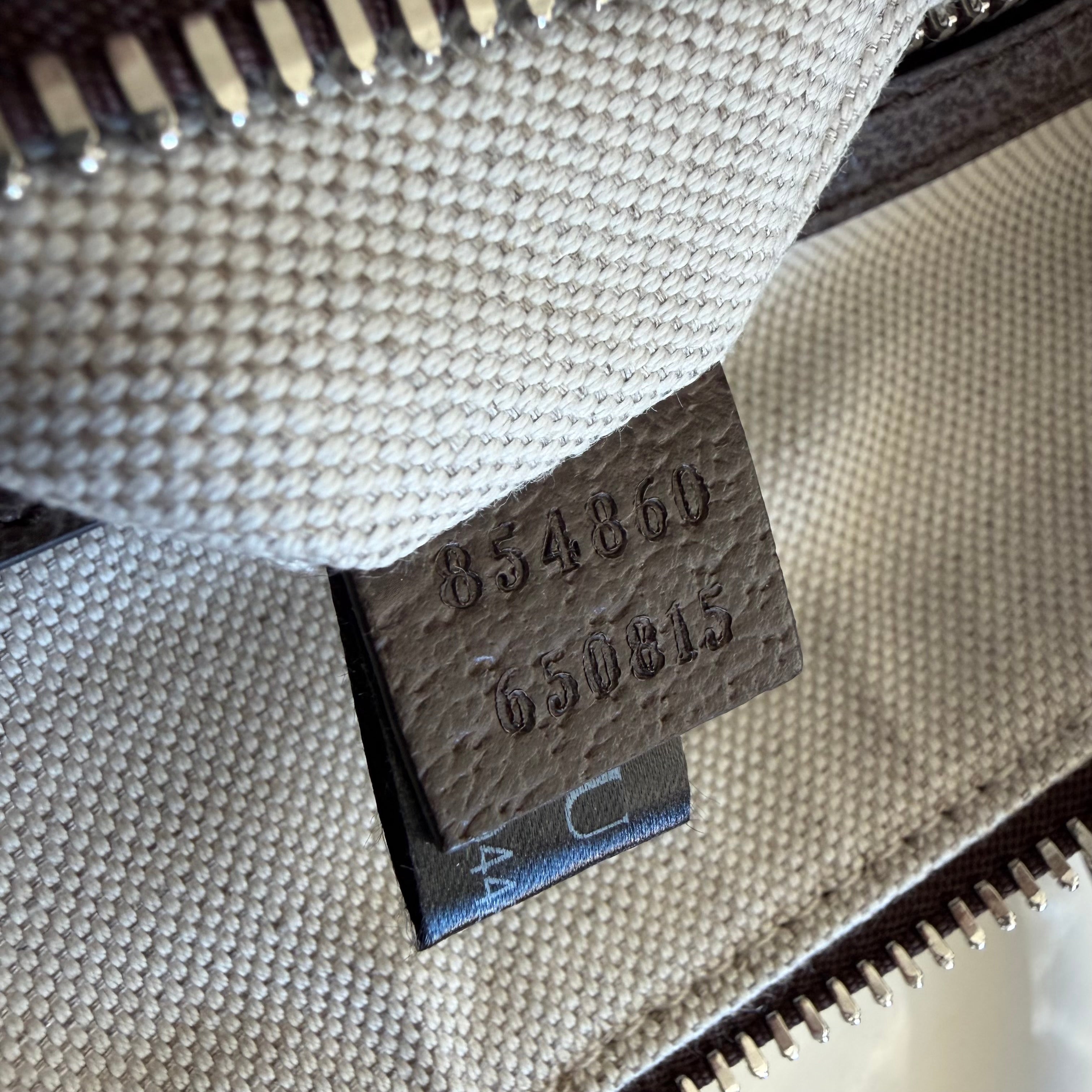 Gucci bauletto Ophidia