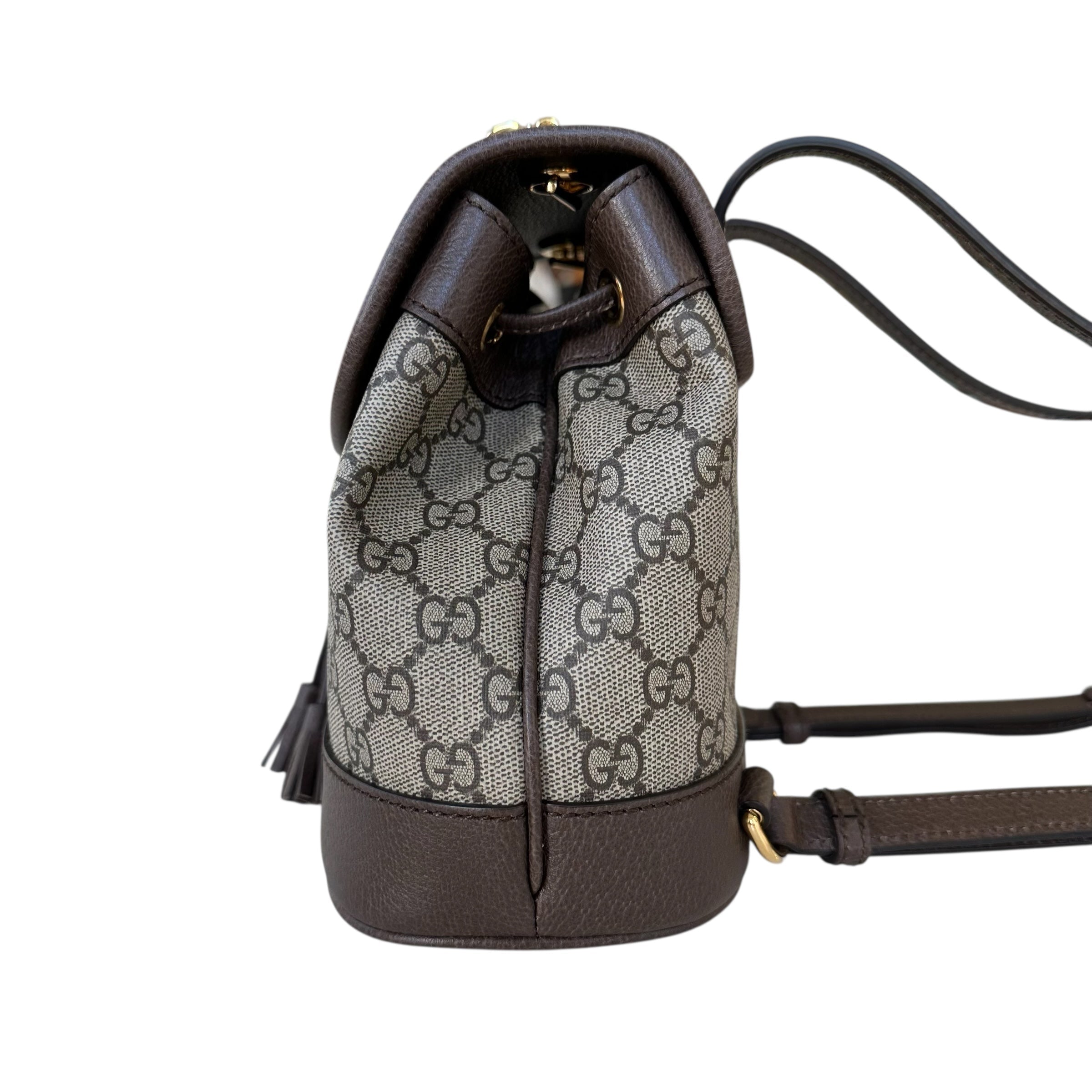Gucci zaino Ophidia