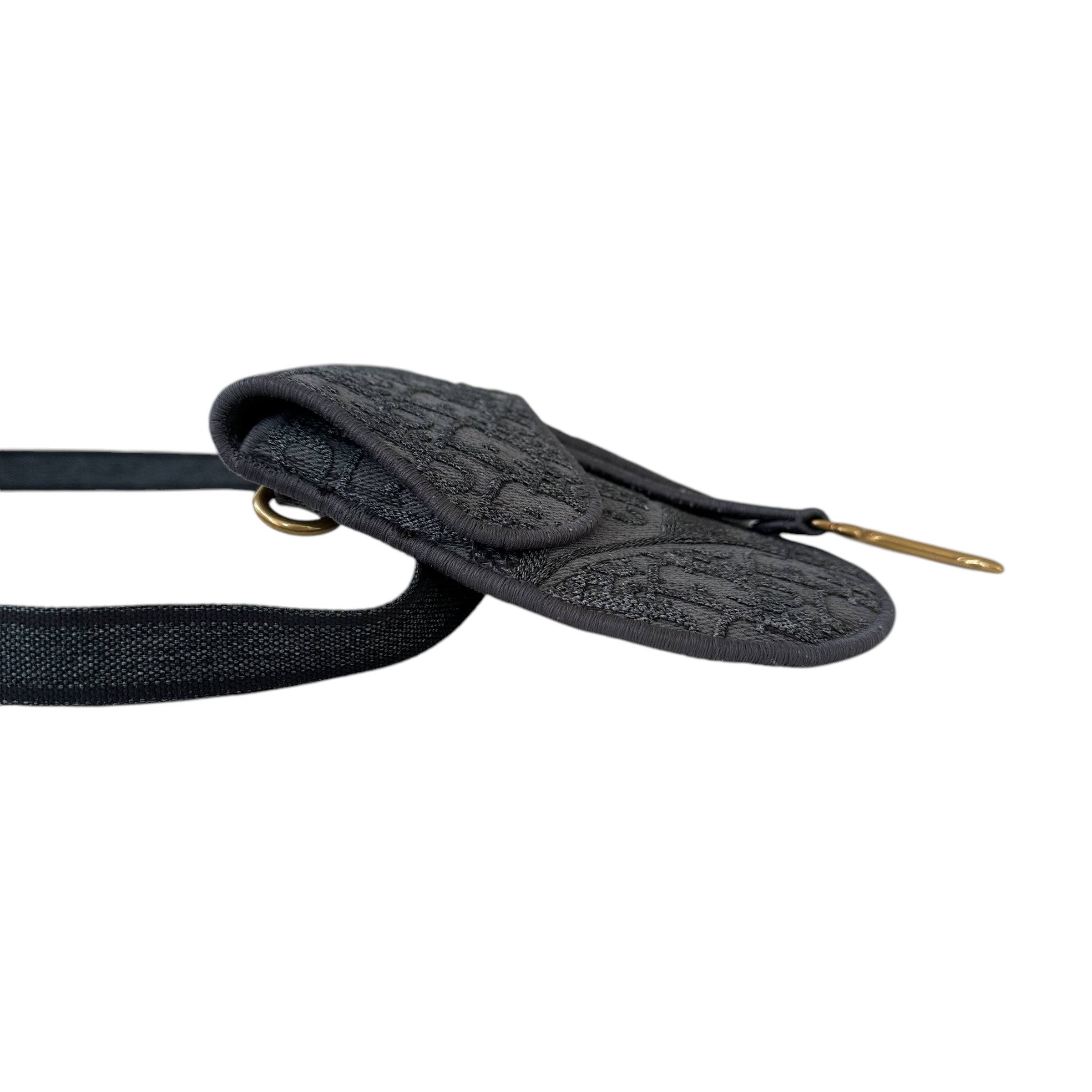 Dior marsupio Saddle