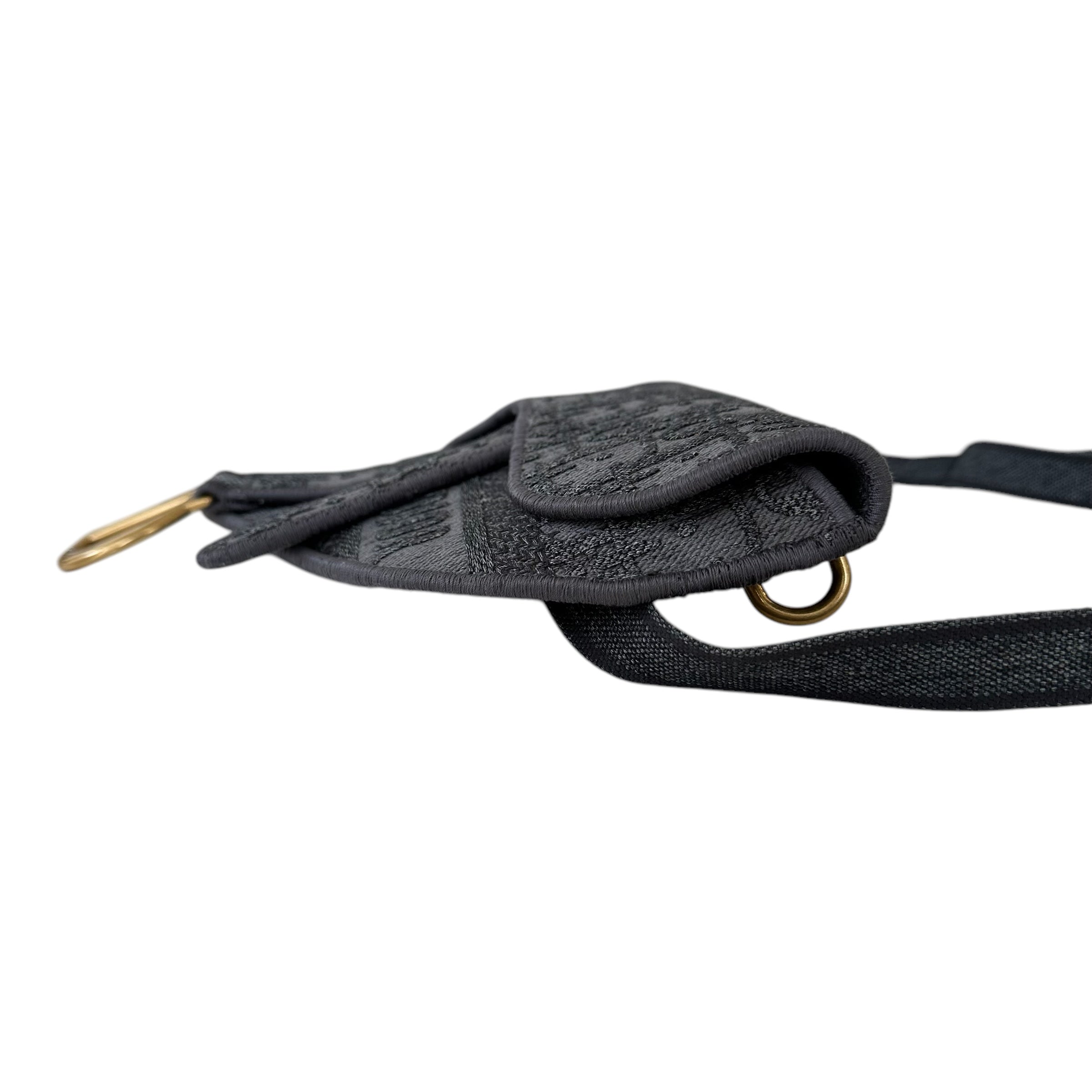 Dior marsupio Saddle
