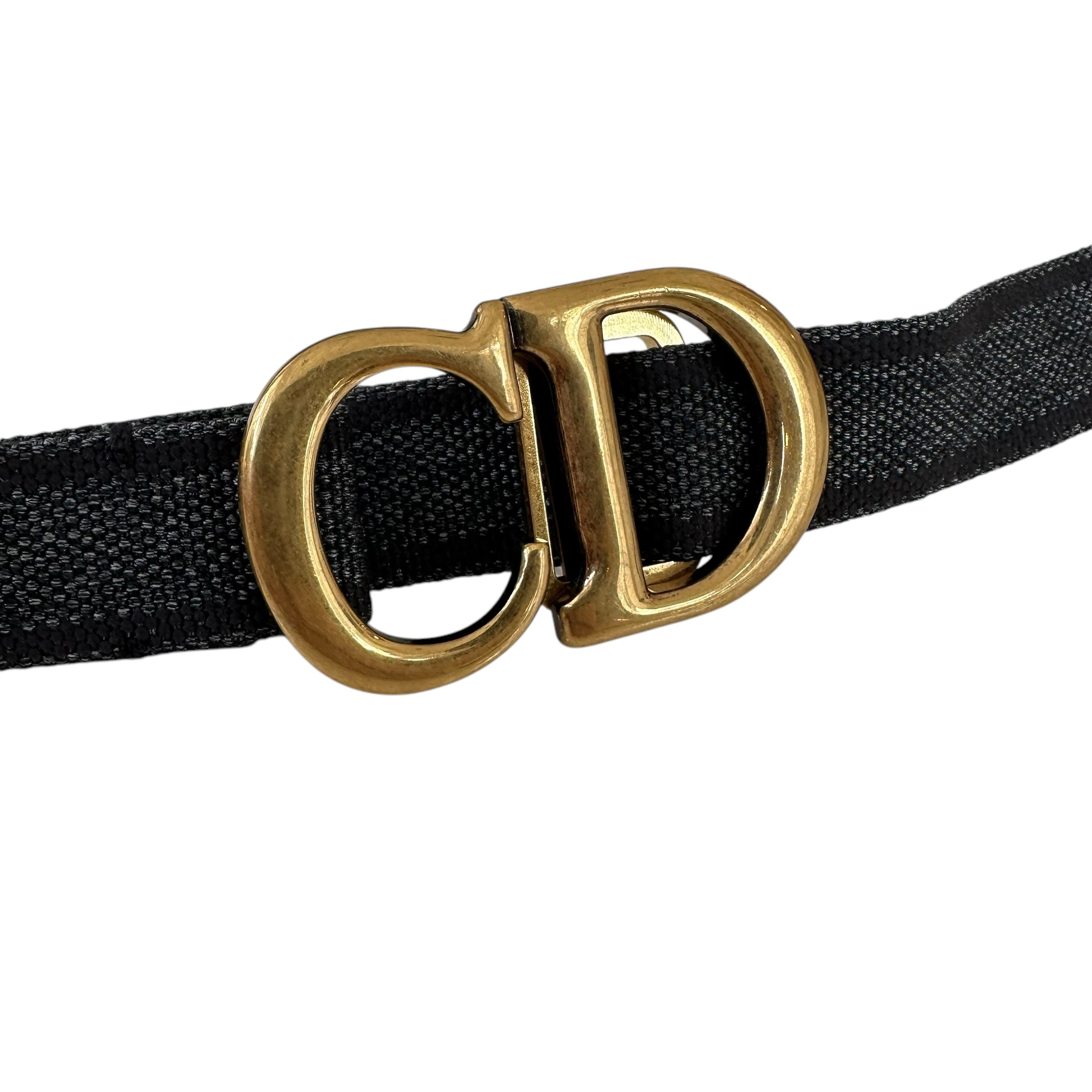 Dior marsupio Saddle