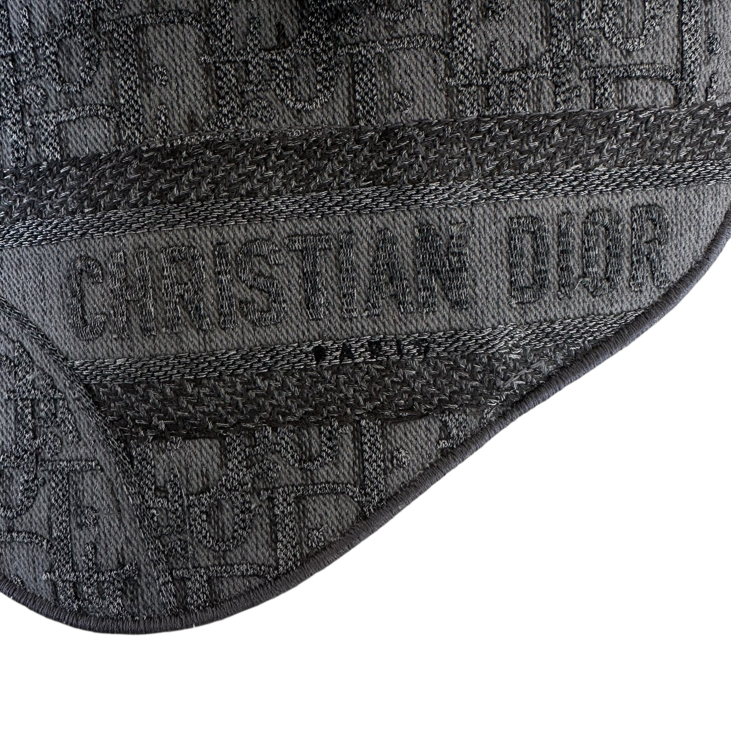 Dior marsupio Saddle