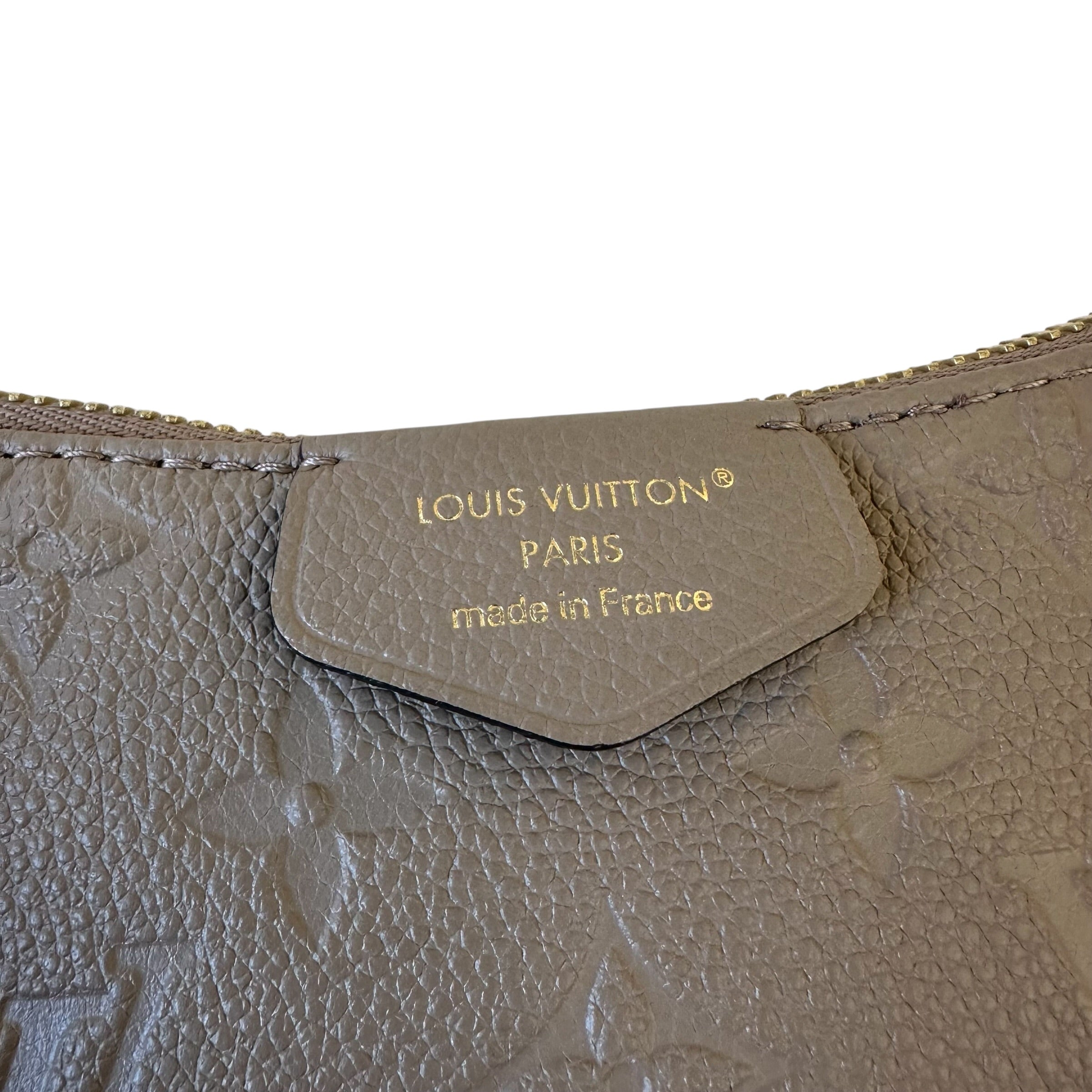 Louis Vuitton pochette Easy Pouch On Strap
