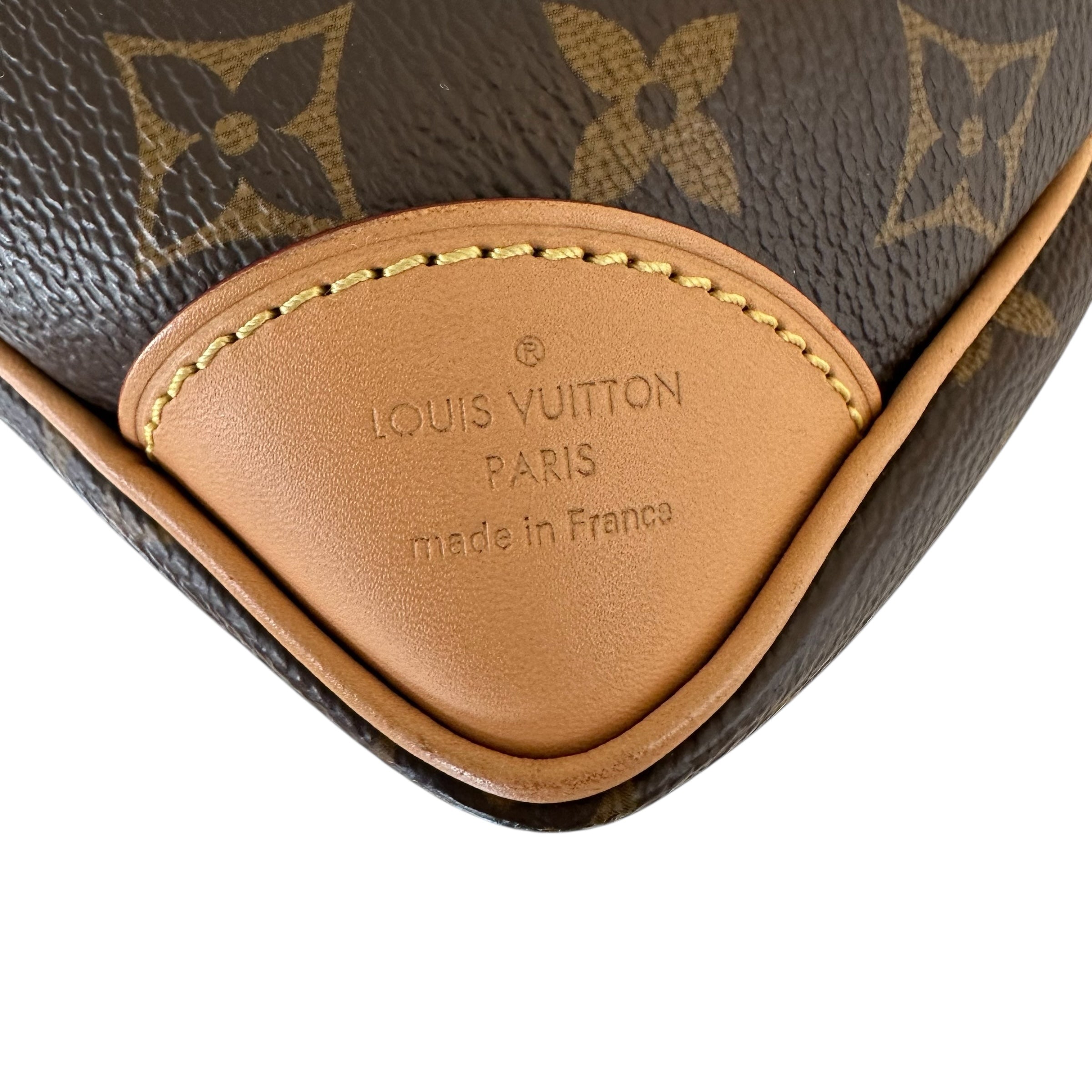 Louis Vuitton borsa Odéon NM PM
