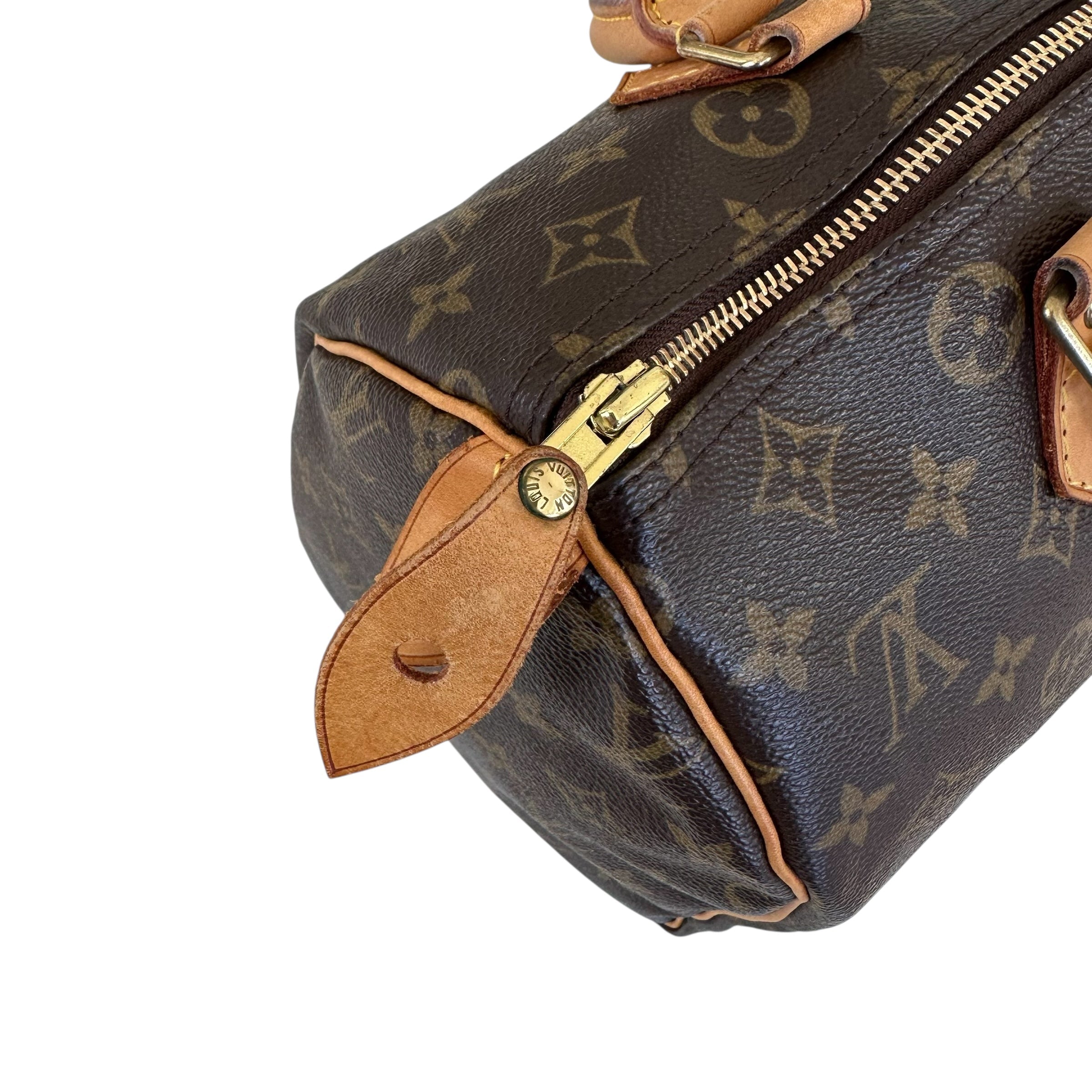 Louis vuitton borsa Speedy 30