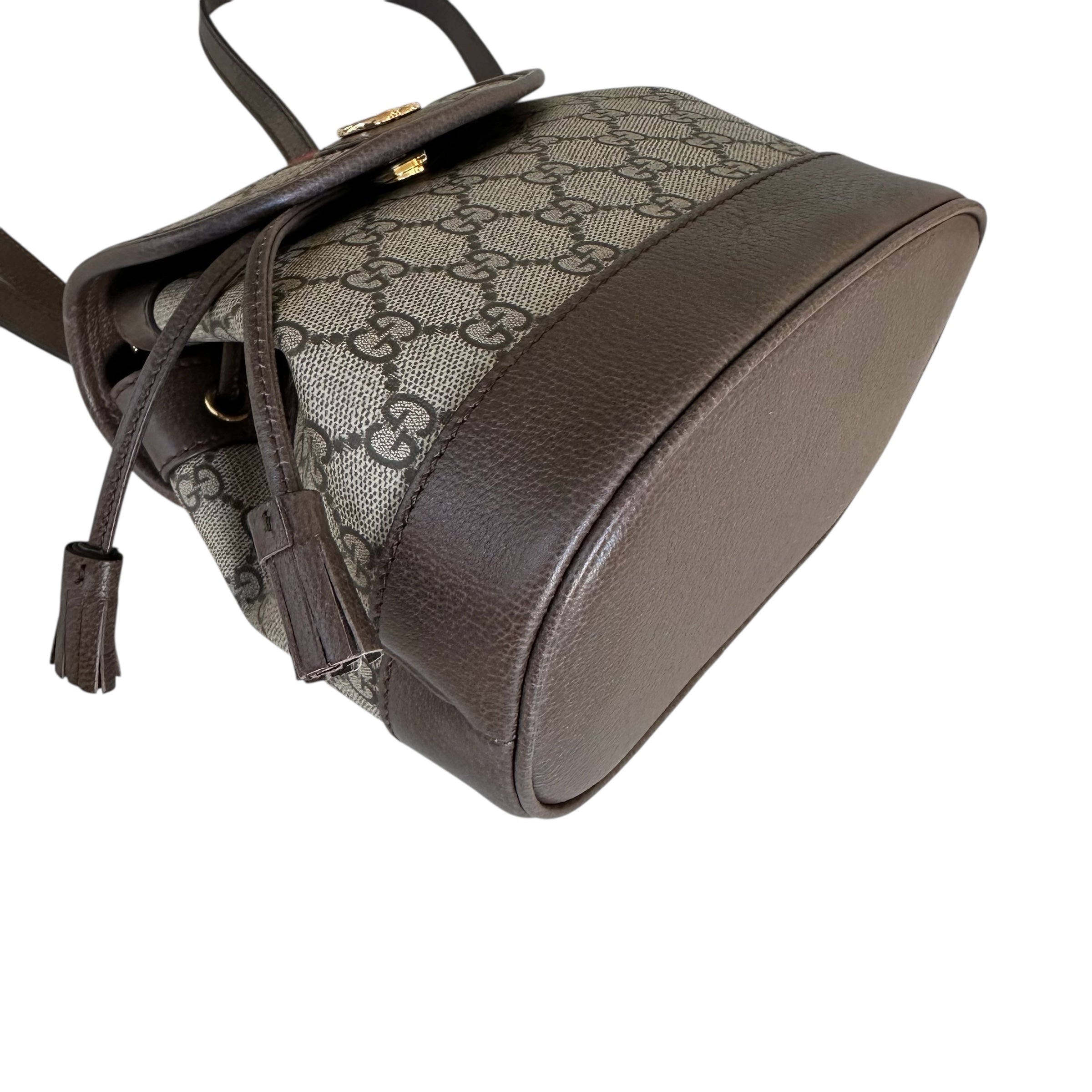 Gucci zaino Ophidia