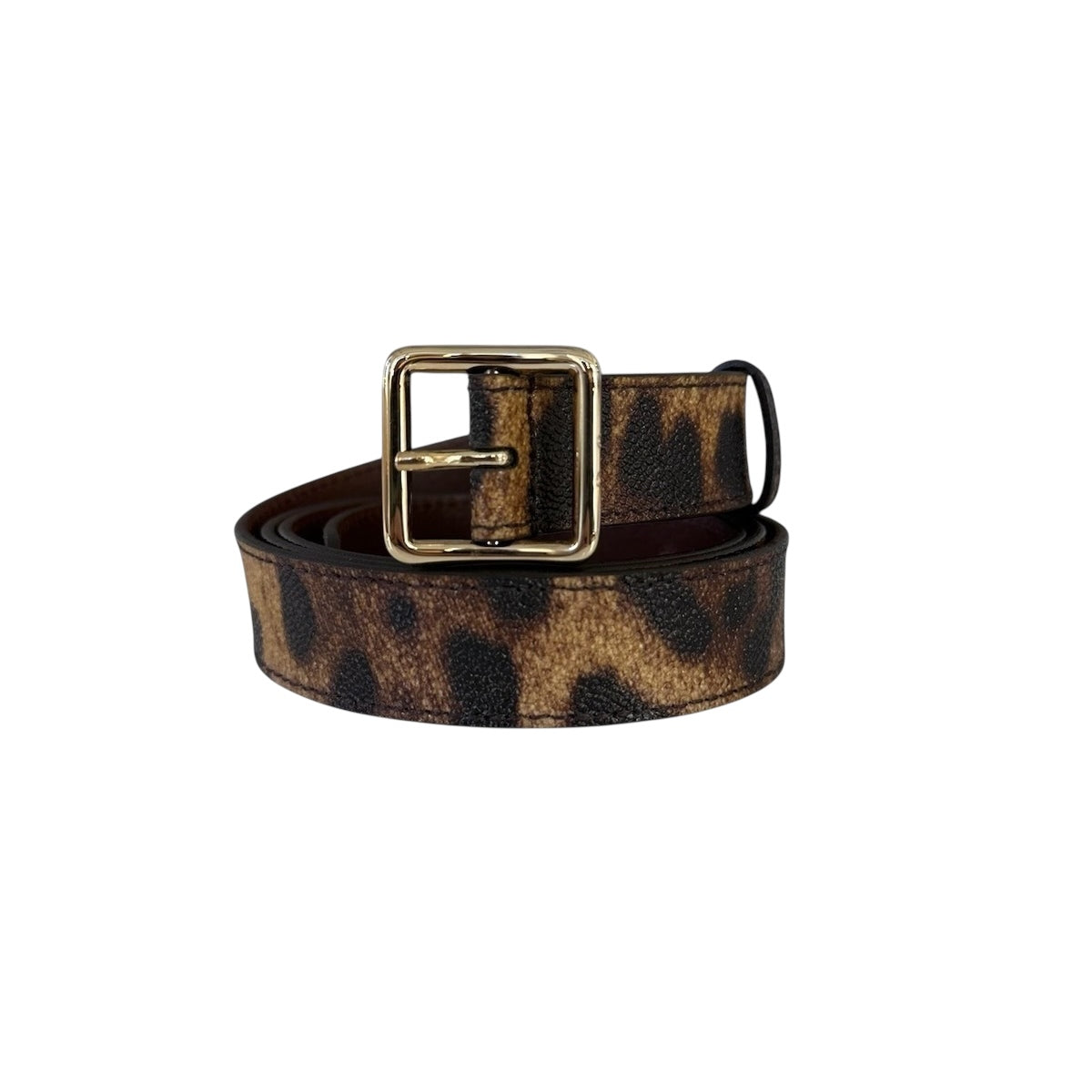 Dolce & Gabbana cintura animalier