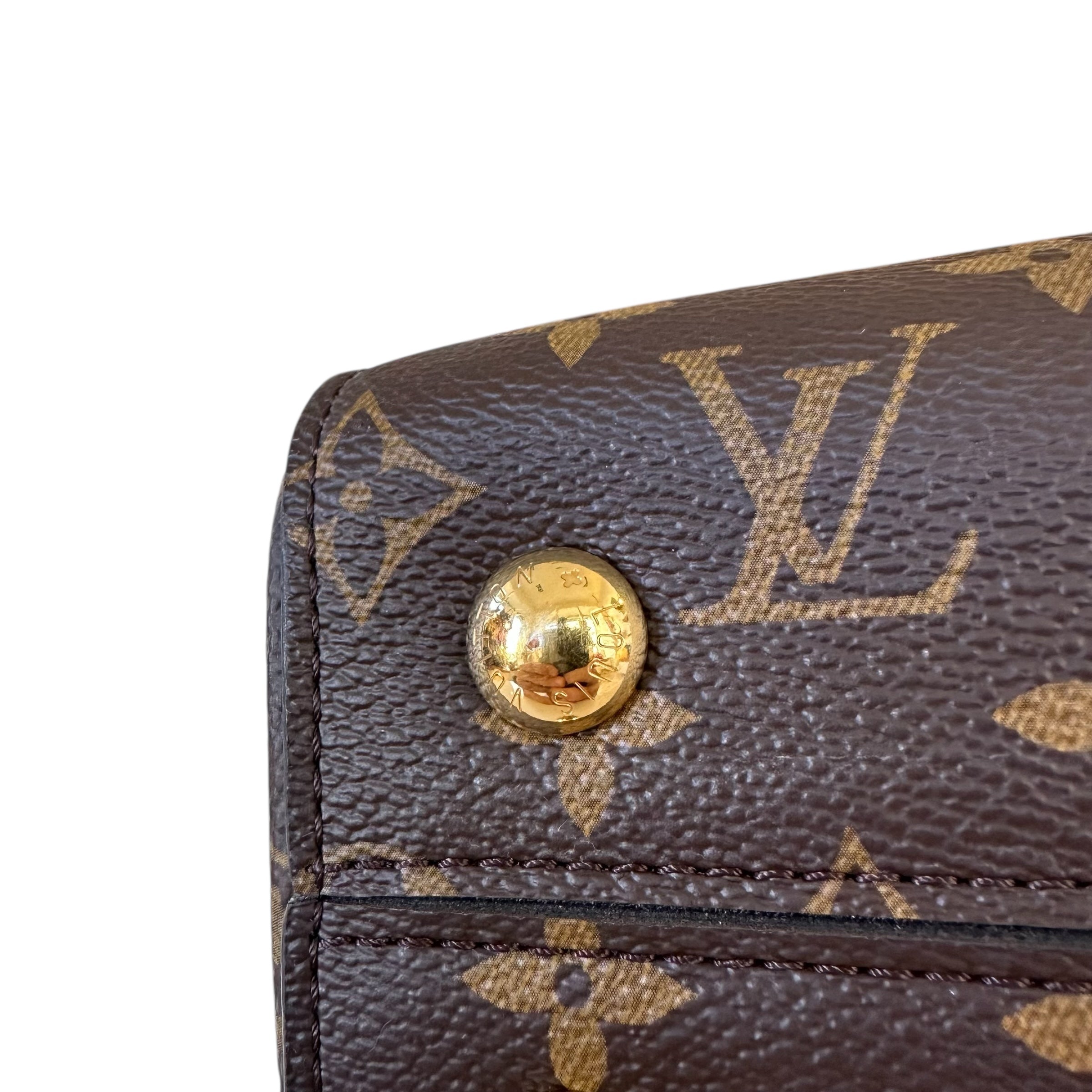 Louis Vuitton borsa Cluny BB
