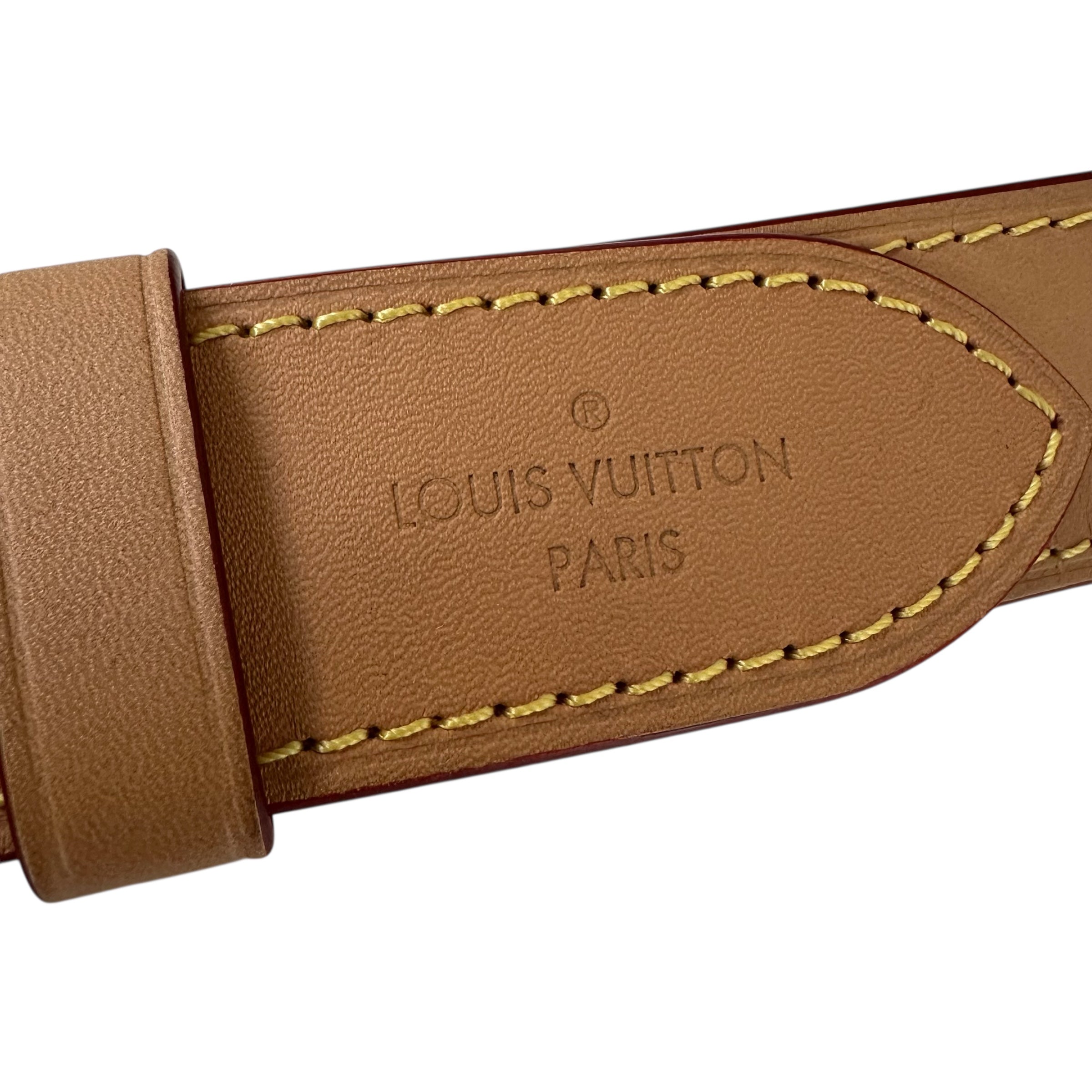 Louis Vuitton borsa Odéon NM PM