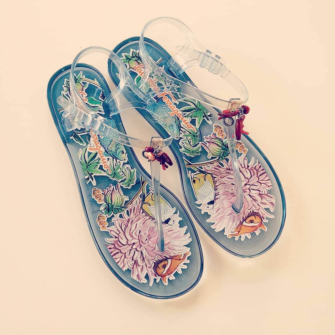 Infradito in gomma Salvatore Ferragamo  Modello: Celly  Collezione: Capri