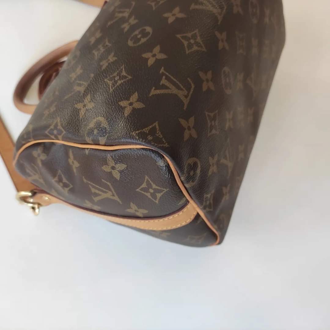 RvceShops Revival  Borsa Louis Vuitton Speedy 25 cm in tela