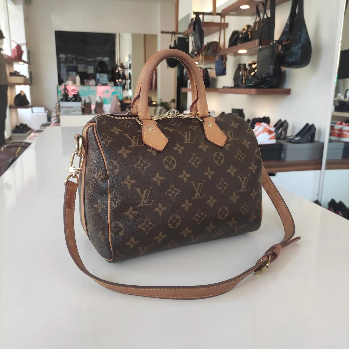 RvceShops Revival  Borsa Louis Vuitton Speedy 25 cm in tela